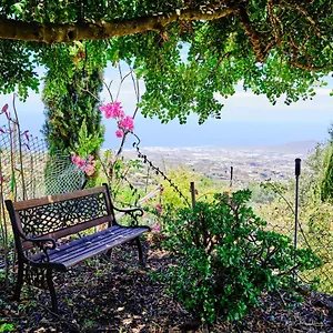 https://tizziri-rural.tenerifehoteles.net